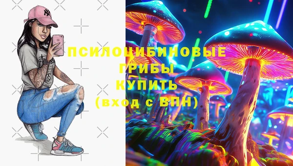 стаф Алексеевка