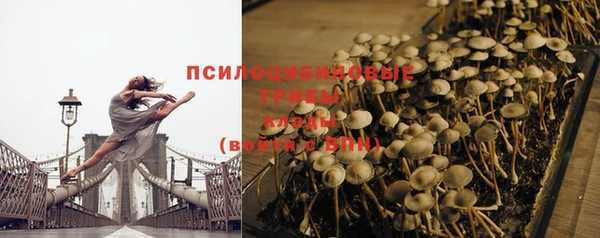 стаф Алексеевка