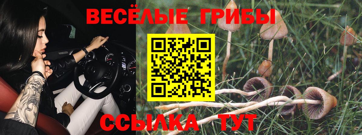 Меф МЯУ МЯУ кристаллы  ГАШИШ  Амурск  Вход с VPN  Cocaine 